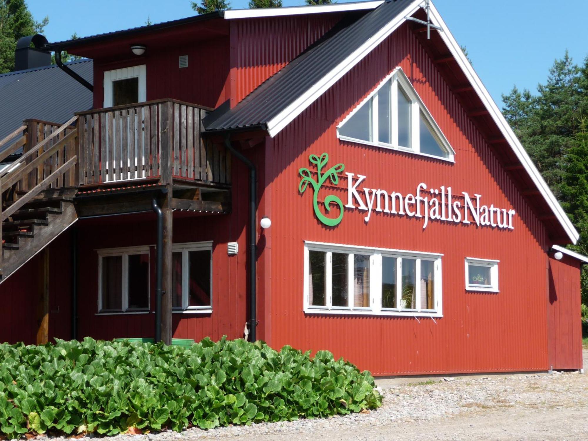 Kynnefjaellsnatur Hedekas Exteriér fotografie