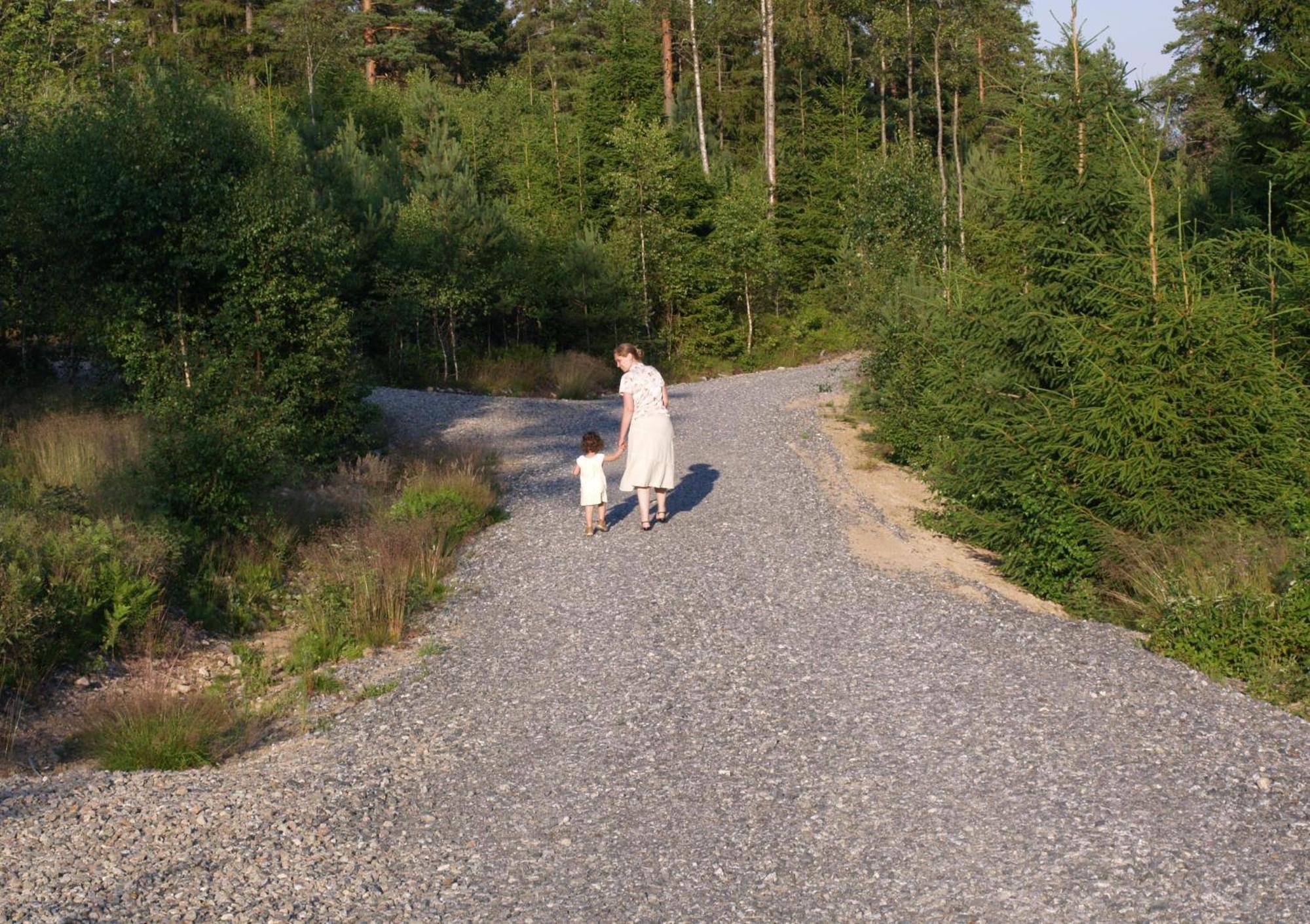 Kynnefjaellsnatur Hedekas Exteriér fotografie