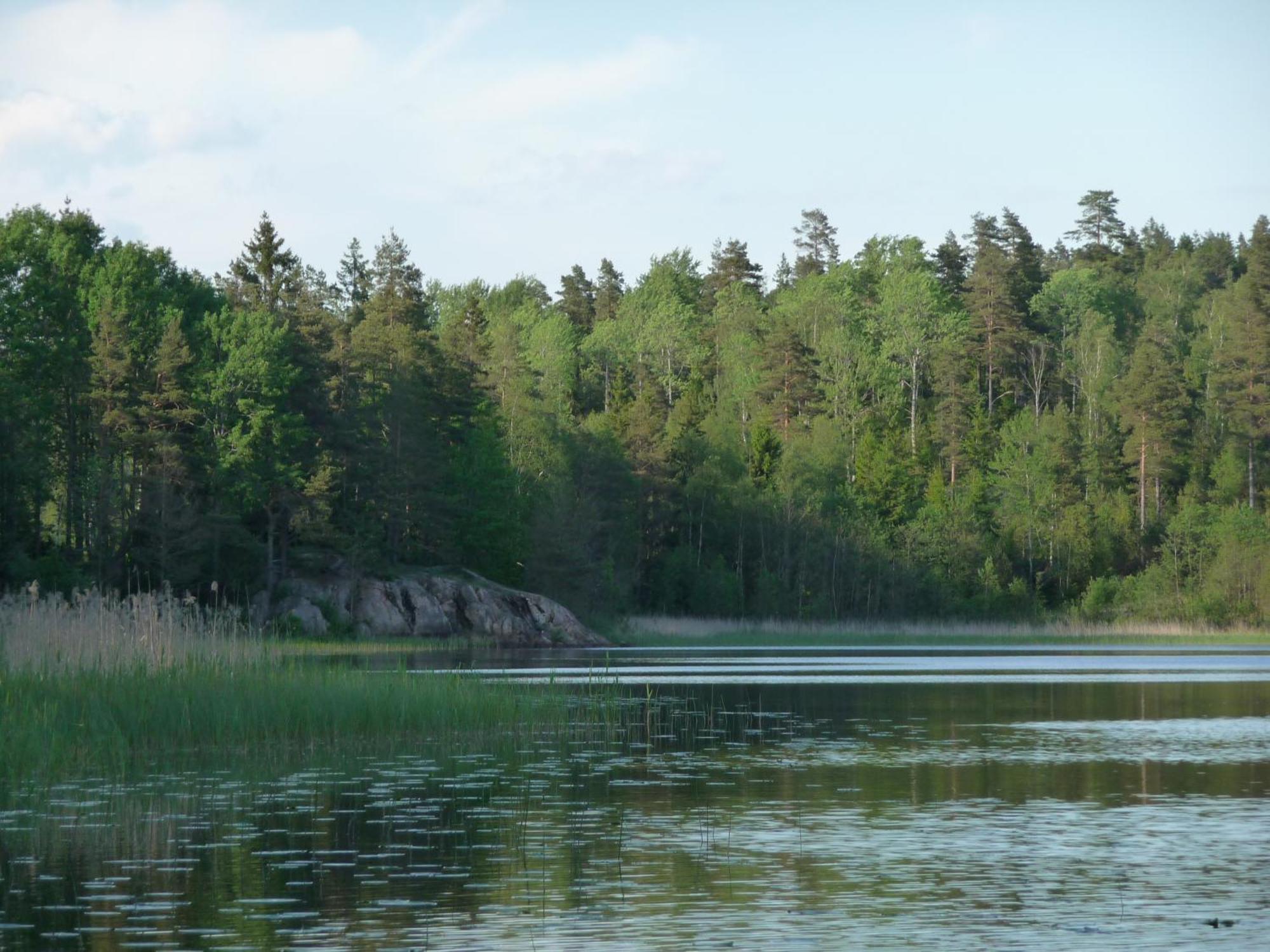 Kynnefjaellsnatur Hedekas Exteriér fotografie