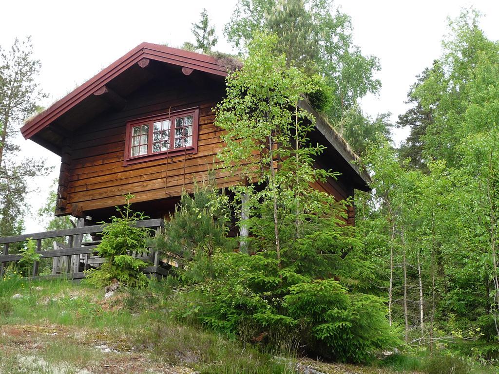 Kynnefjaellsnatur Hedekas Exteriér fotografie