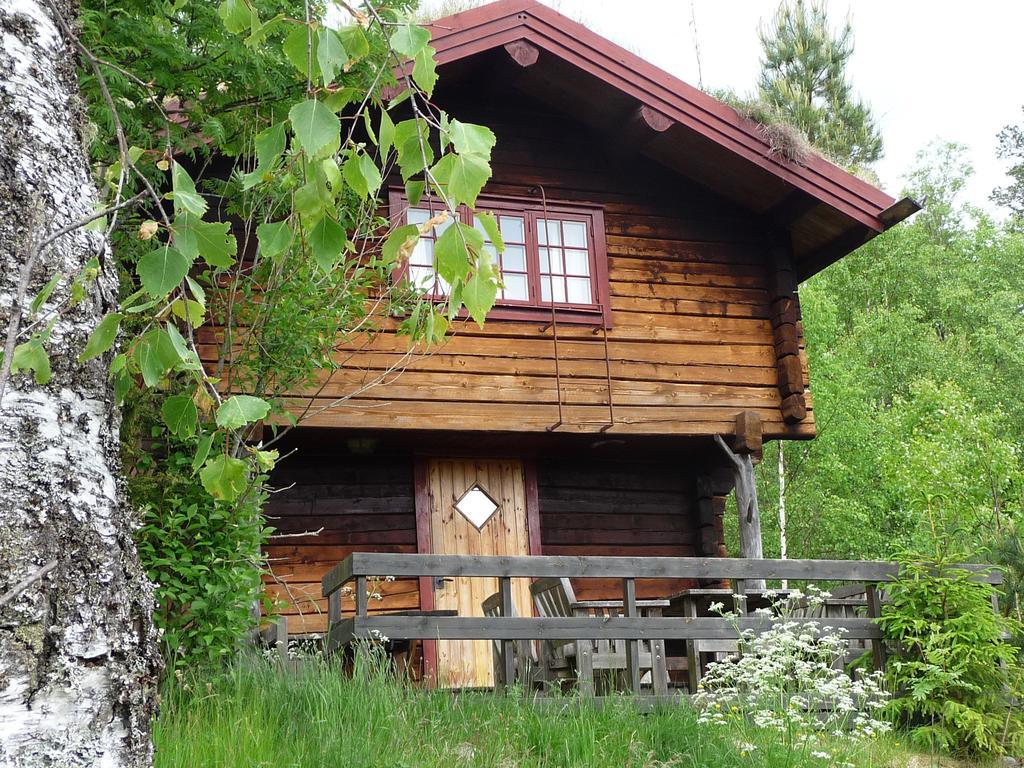 Kynnefjaellsnatur Hedekas Exteriér fotografie