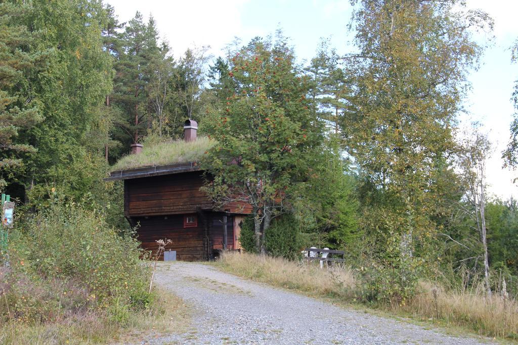 Kynnefjaellsnatur Hedekas Exteriér fotografie