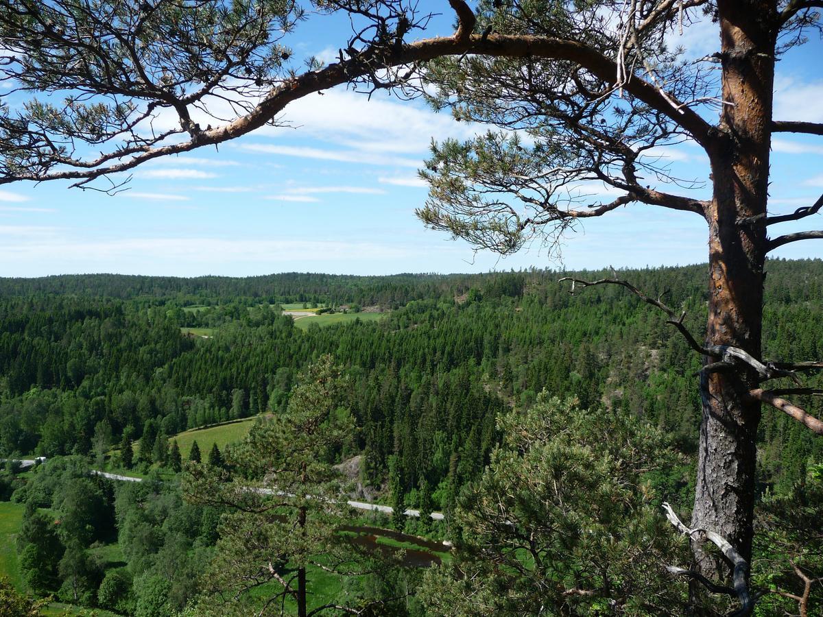 Kynnefjaellsnatur Hedekas Exteriér fotografie